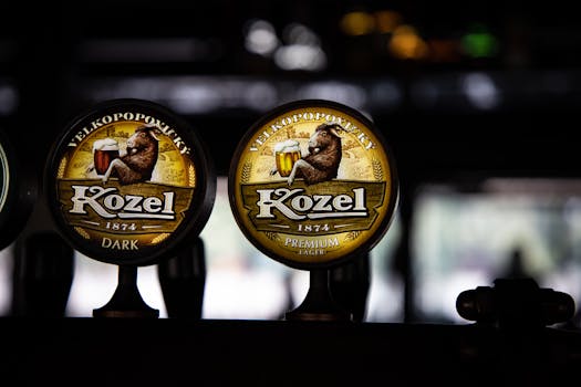 Domácí Výroba Piva: Krok za Krokem k Vlastnímu Českému Pivu